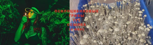 бошки Богородицк