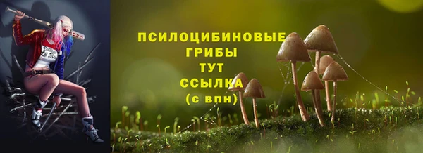 прущий лед Богородск