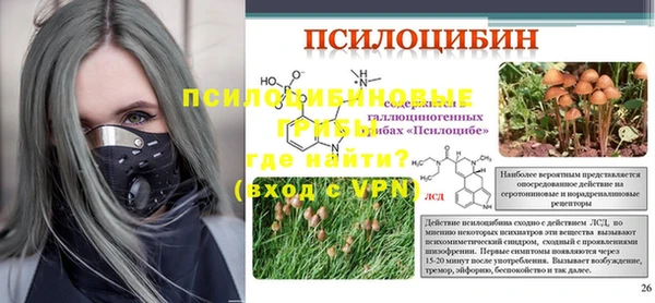 прущий лед Богородск