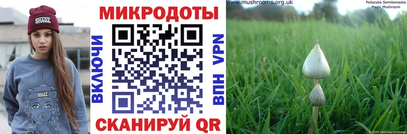 Галлюциногенные грибы MAGIC MUSHROOMS  где найти   ссылка на мегу ONION  Медынь 